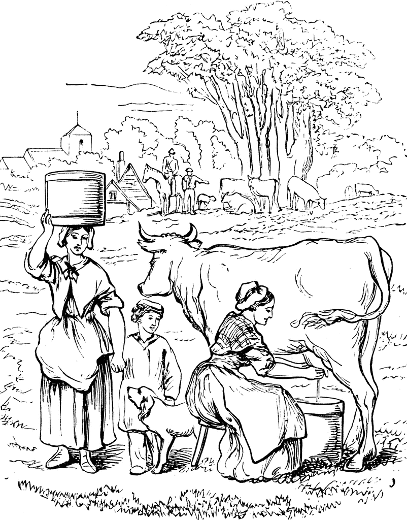 Cow Milking To use any of the clipart images above including the thumbnail 