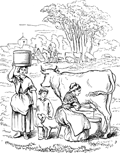 clip art man milking cow - photo #32