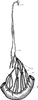 Thoracic Duct
