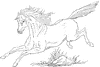 Horse