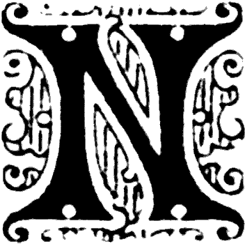 N, Ornate initial