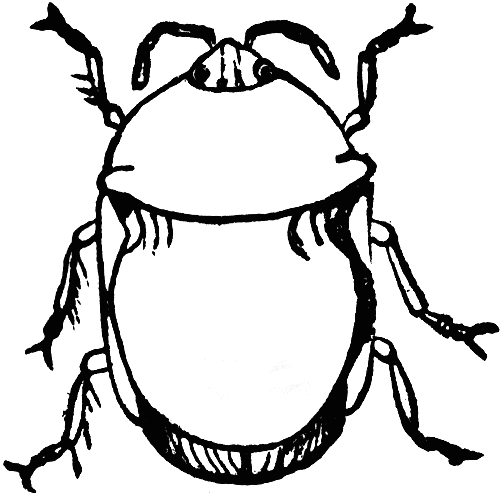 clipart insects black and white - photo #8