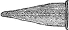 Dagger Blade
