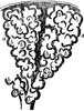 Two Alveoli of the Lung
