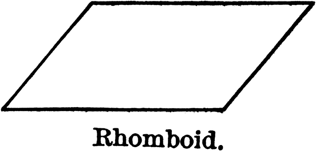 Rhomboid