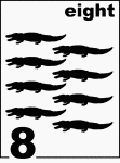 English Counting Card featuring illustrations of eight Florida Alligators.