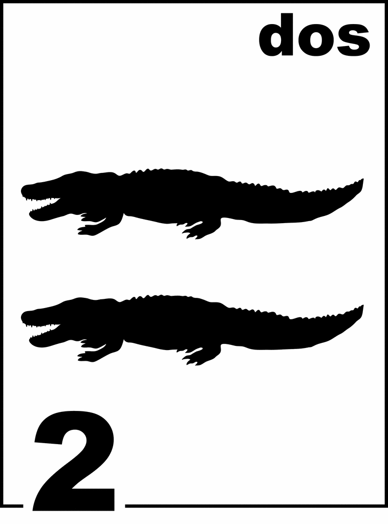 Spanish Alligator Counting Card 2