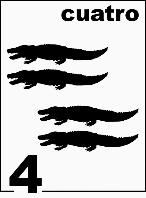 Spanish Alligator Counting Card 4