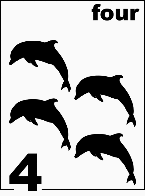 English Dolphin Counting Card 4