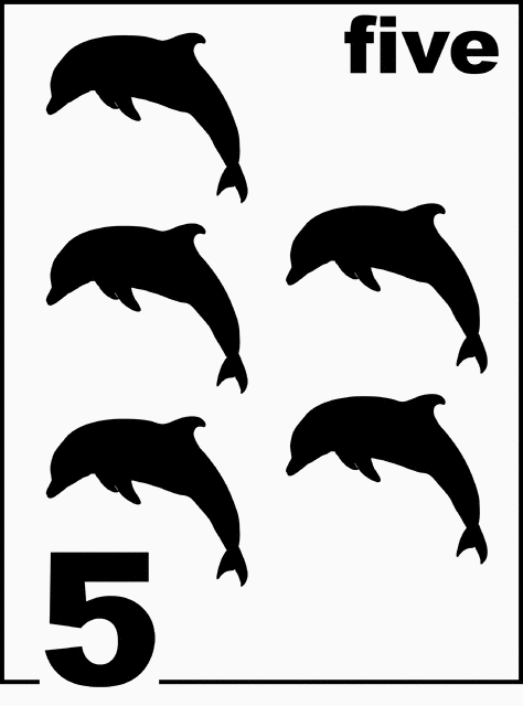 English Dolphin Counting Card 5