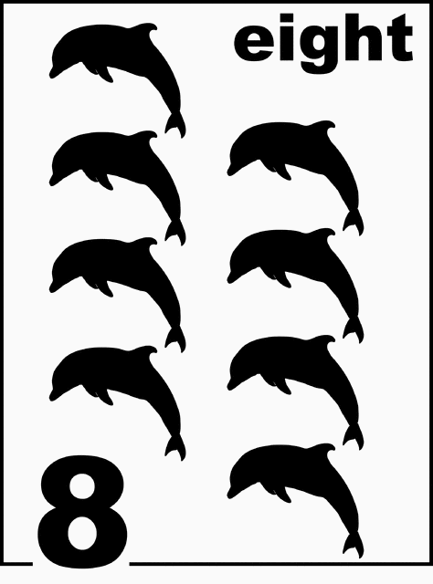 English Dolphin Counting Card 8