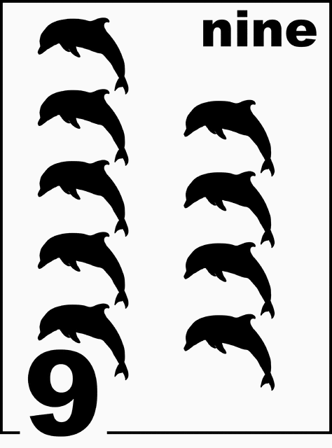 Nine Dolphins