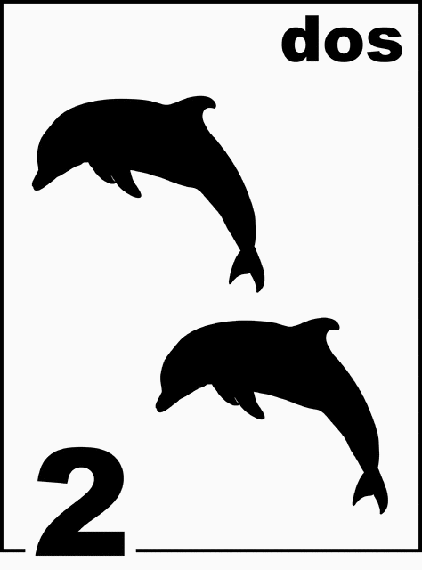 Spanish Dolphin Counting Card 2