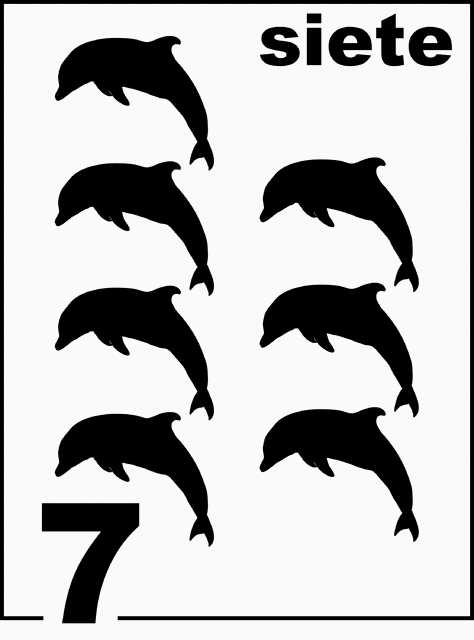 Spanish Dolphin Counting Card 7