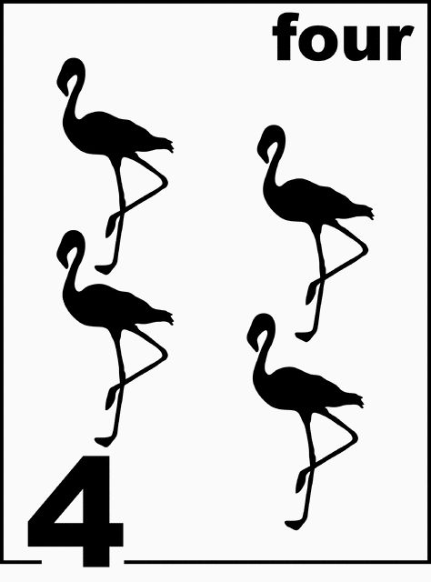 English Flamingo Counting Card 4