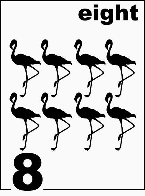 English Flamingo Counting Card 8