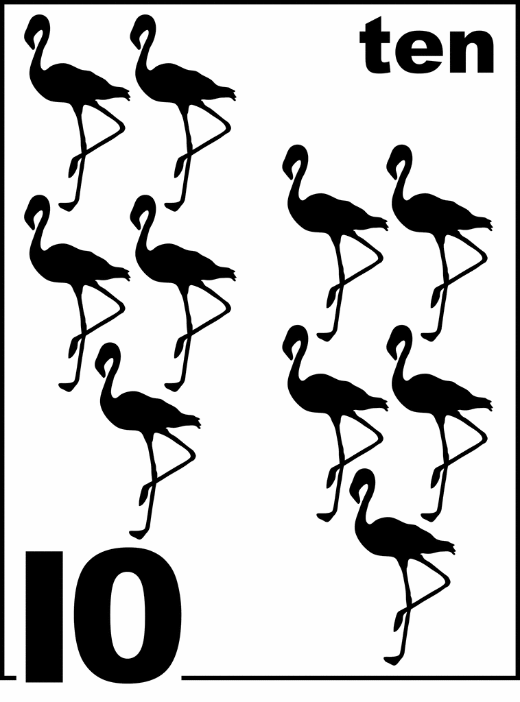 English Flamingo Counting Card 10