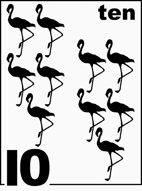 English Flamingo Counting Card 10