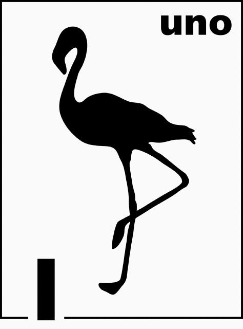 Spanish Flamingo Counting Card 1