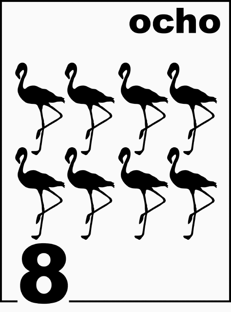Spanish Flamingo Counting Card 8