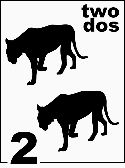 Bilingual Florida Panther Counting Card 2