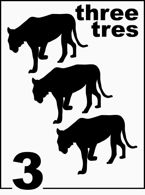 Bilingual Florida Panther Counting Card 3