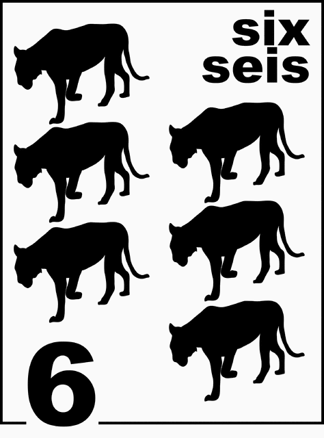 Bilingual Florida Panther Counting Card 6