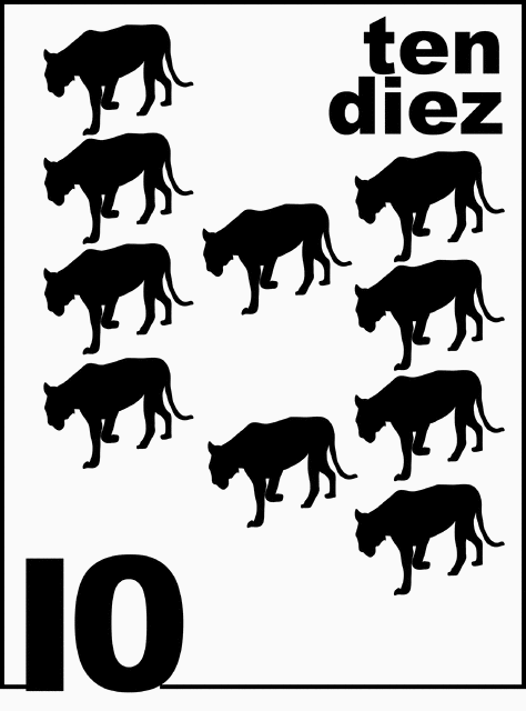 Bilingual Florida Panther Counting Card 10