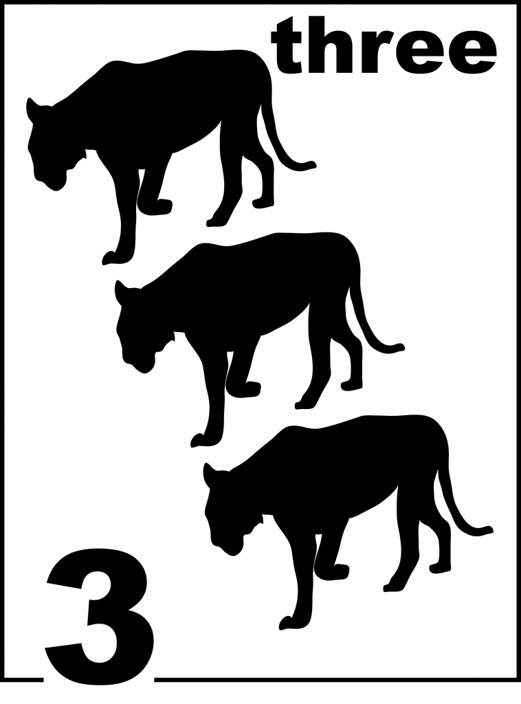 English Florida Panther Counting Card 3