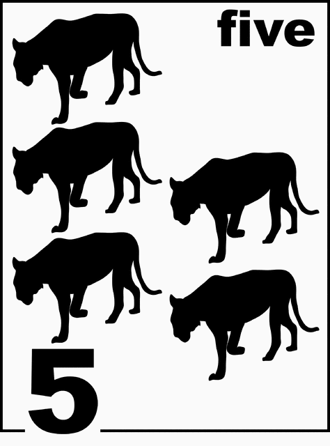 English Florida Panther Counting Card 5