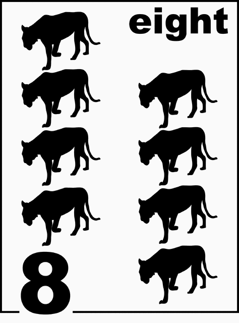 English Florida Panther Counting Card 8