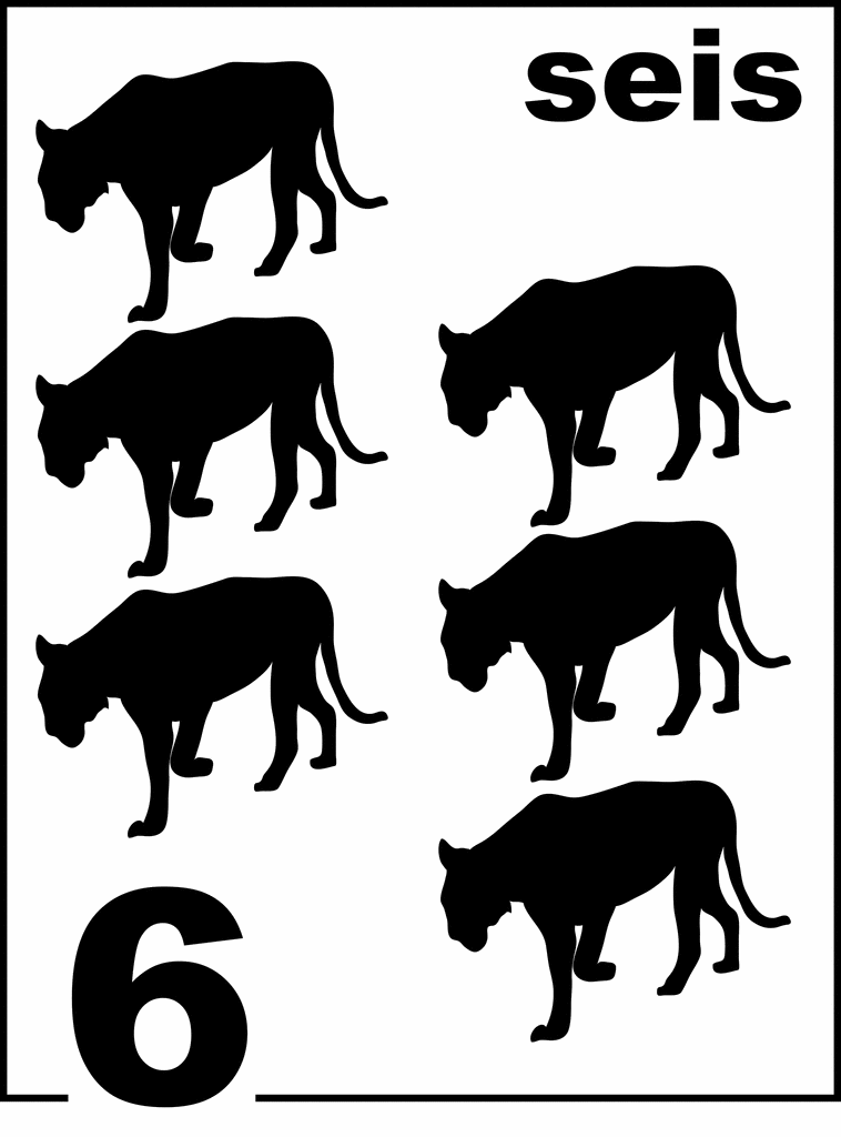 Spanish Florida Panther Counting Card 6