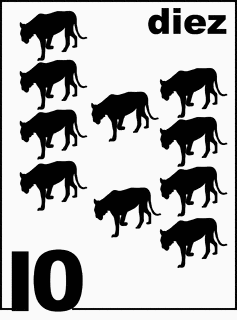 Spanish Florida Panther Counting Card 10