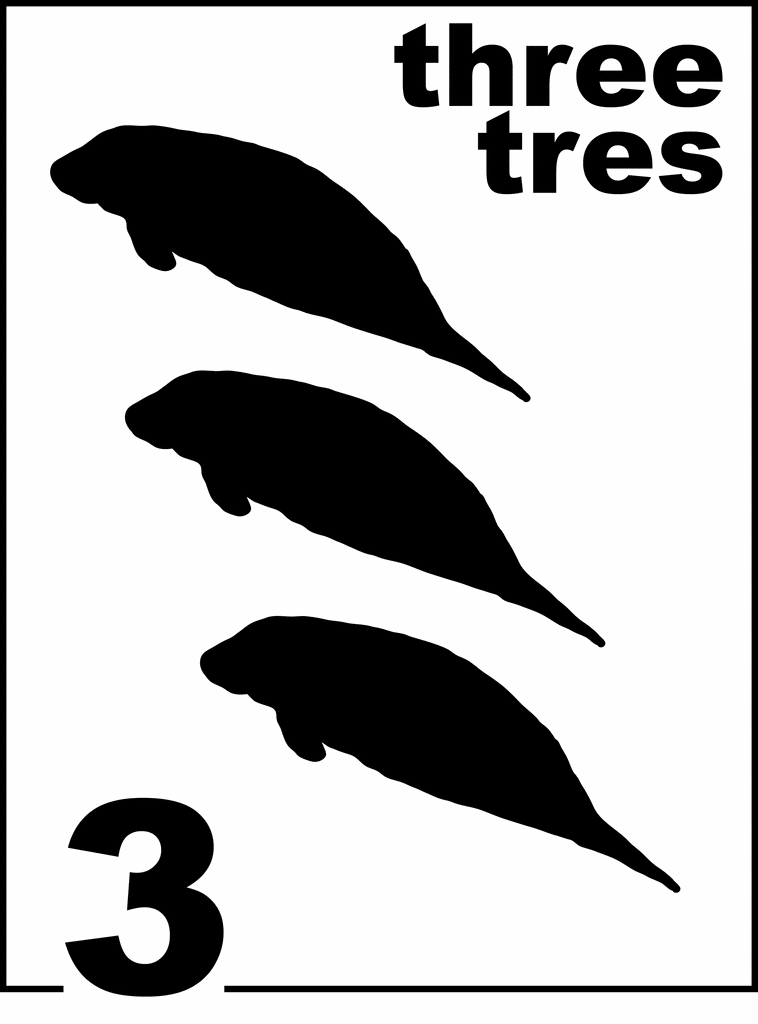 Bilingual Florida Manatee Counting Card 3