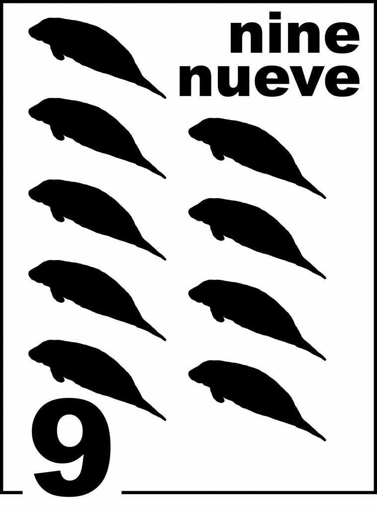 Bilingual Florida Manatee Counting Card 9