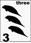 English Counting Card featuring illustrations of three Florida Manatees.