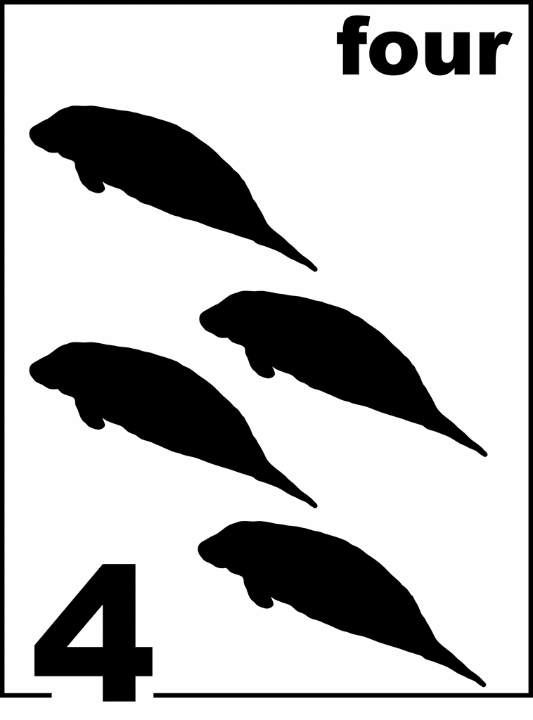 English Florida Manatee Counting Card 4