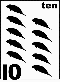 English Florida Manatee Counting Card 10