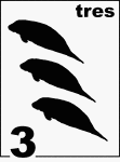 Spanish Counting Card featuring illustrations of three Florida Manatees.