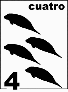 Spanish Florida Manatee Counting Card 4