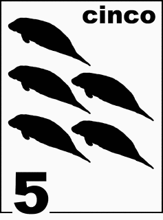 Spanish Florida Manatee Counting Card 5