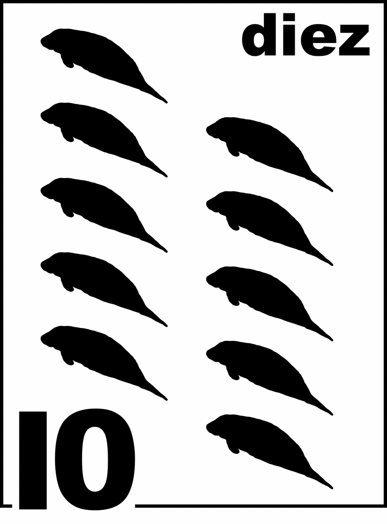 Spanish Florida Manatee Counting Card 10