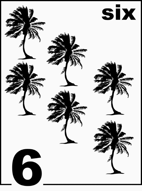 English Palm Tree Counting Card 6