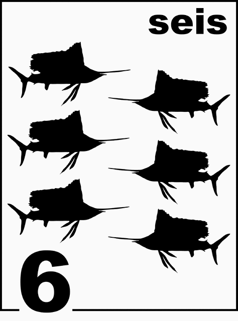 Spanish Sailfish Counting Card 6