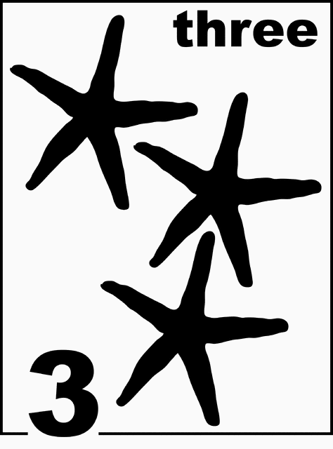 English Starfish Counting Card 3