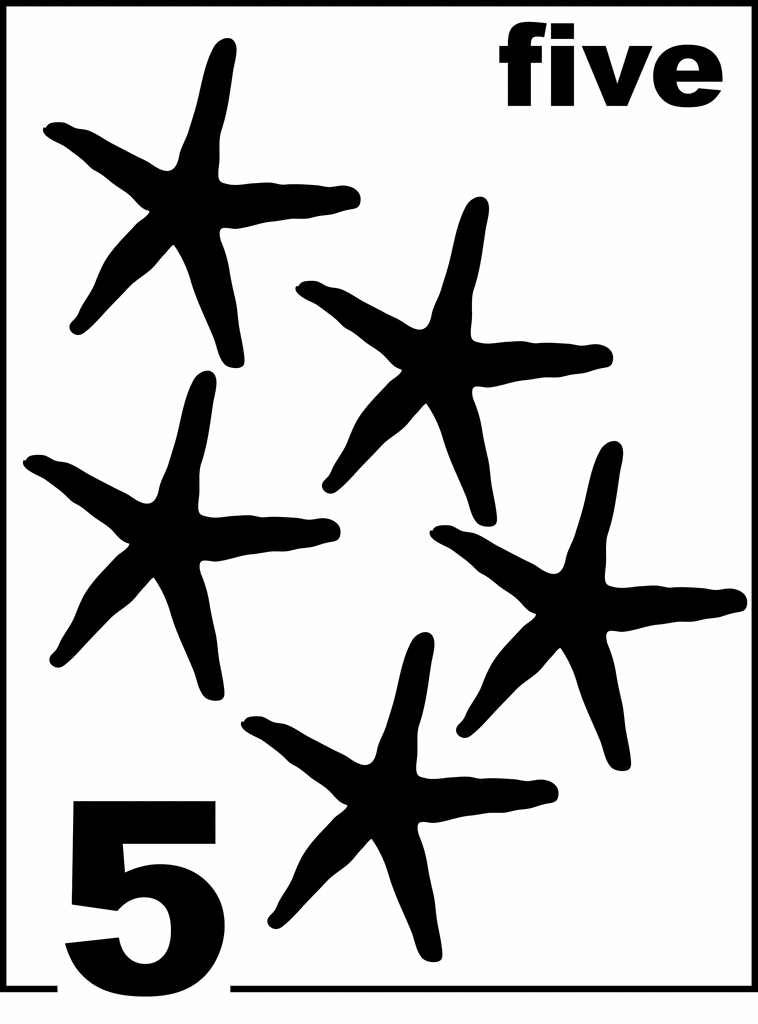 English Starfish Counting Card 5