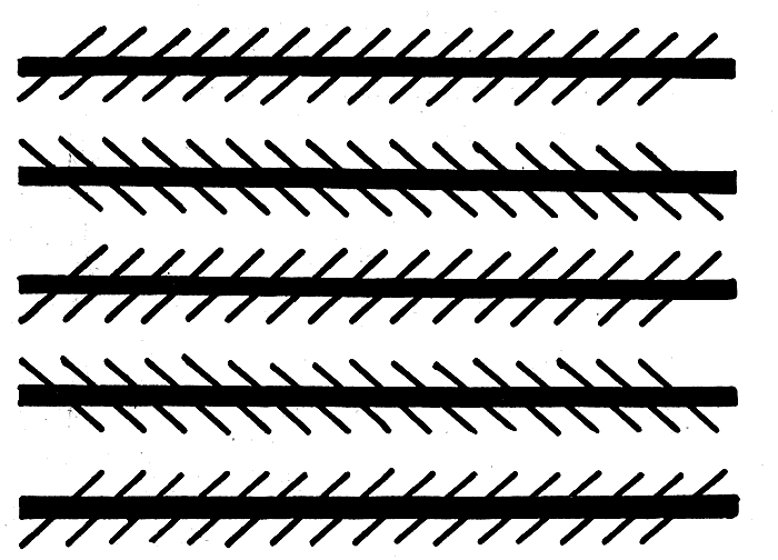 Visual Illusion