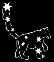 The Little Bear