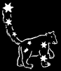 The Little Bear