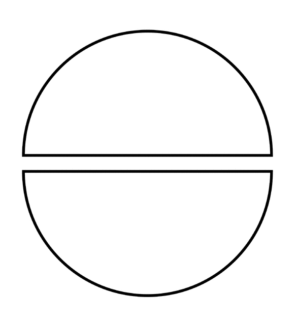 Two Halves of a Fraction Pie